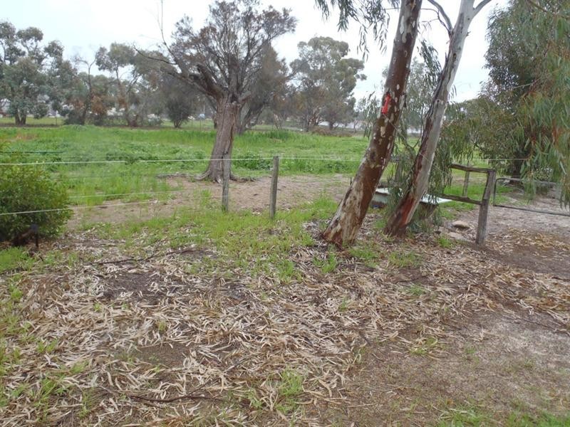17 Review Street, Pingelly WA 6308