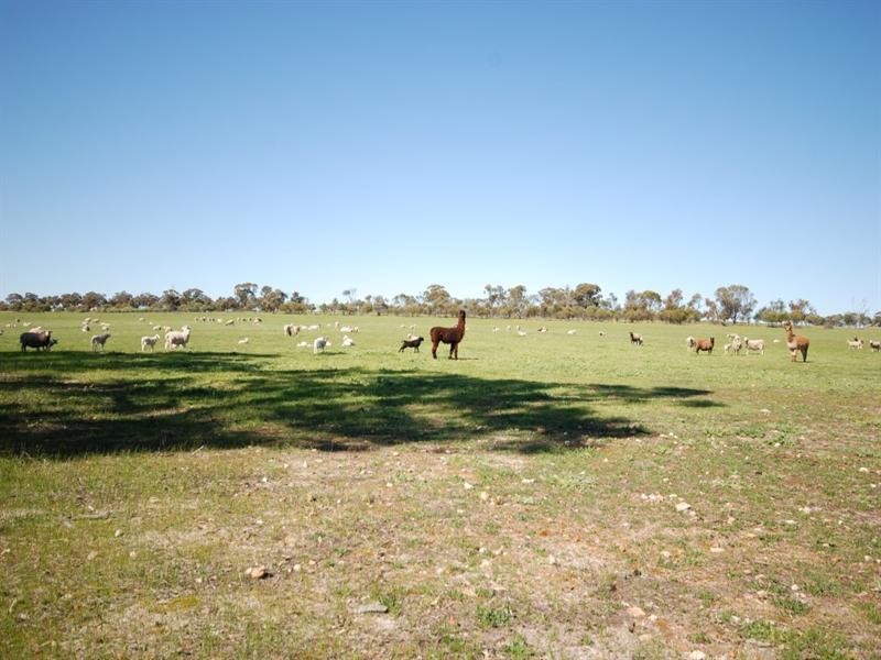 10 Yilliminning Road, Narrogin WA 6312