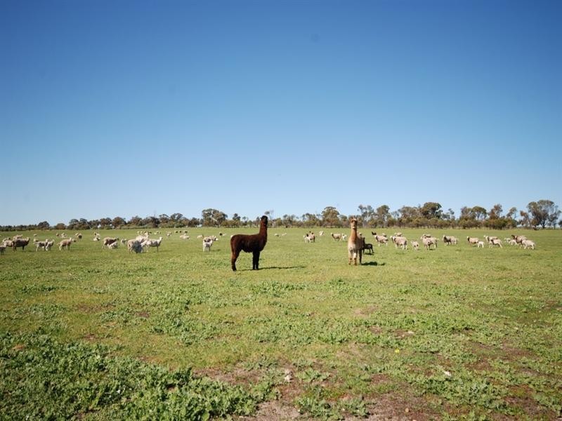 10 Yilliminning Road, Narrogin WA 6312