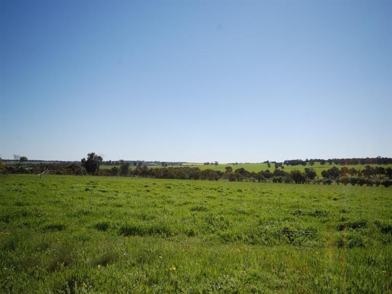 10 Yilliminning Road, Narrogin WA 6312