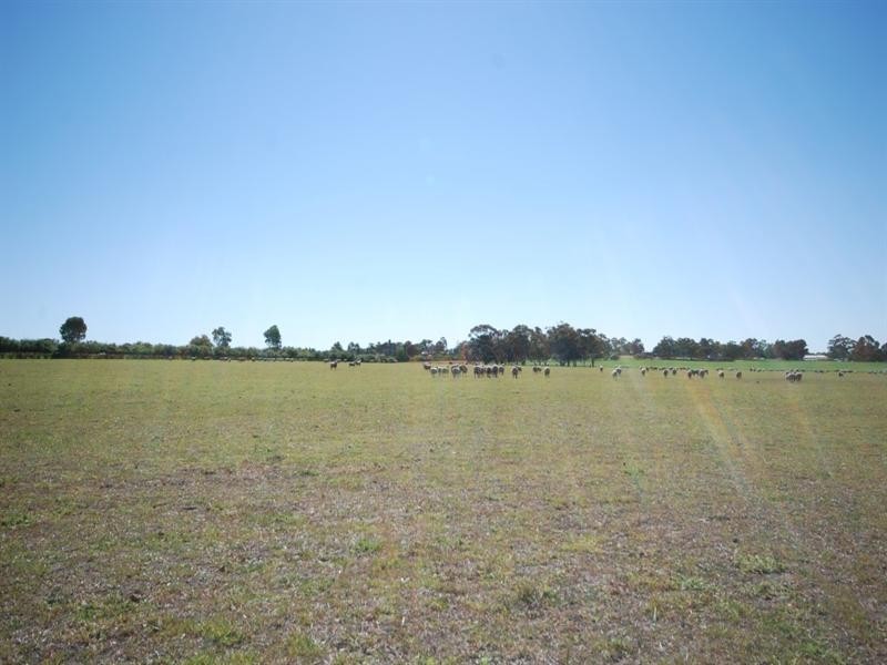 10 Yilliminning Road, Narrogin WA 6312