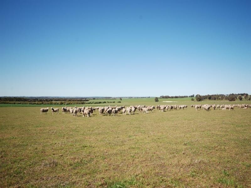 10 Yilliminning Road, Narrogin WA 6312