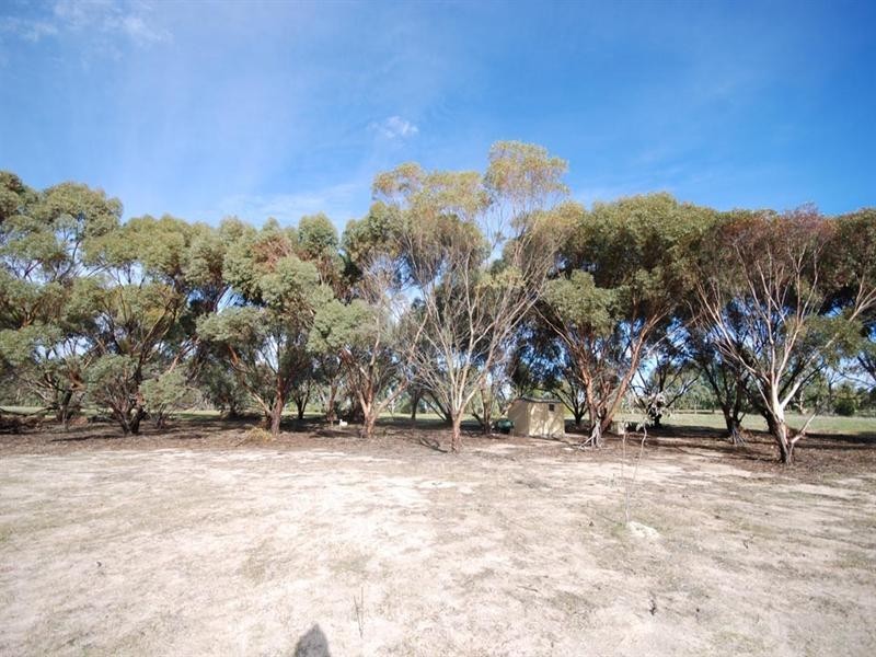 28 Pingelly Heights, Pingelly WA 6308