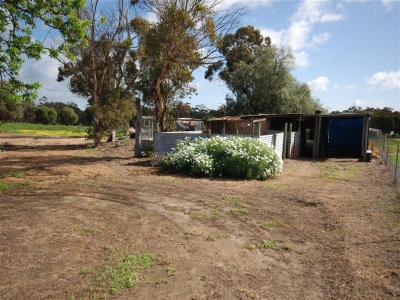 10 Pitt Street, Pingelly WA 6308