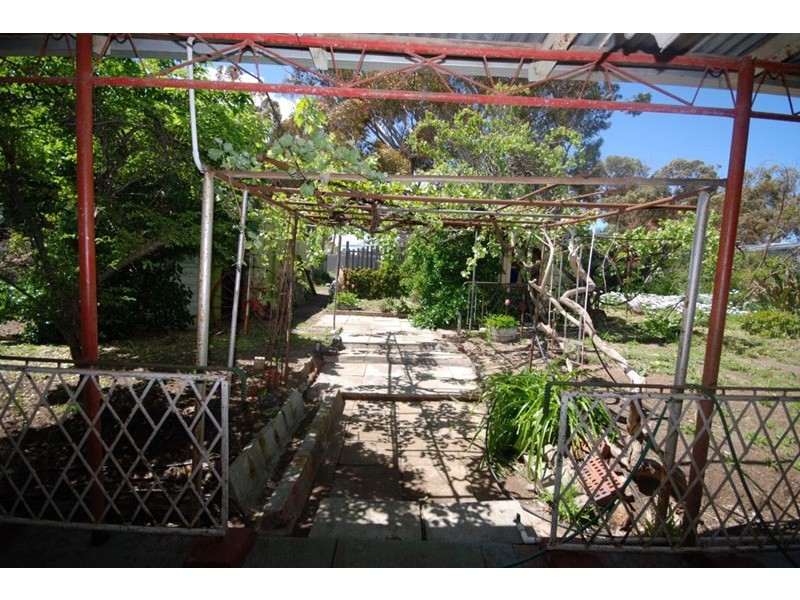 3 Hale Street, Narrogin WA 6312