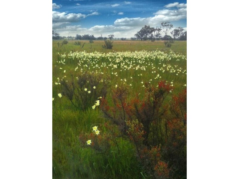 190 Borgas Road, Highbury WA 6313