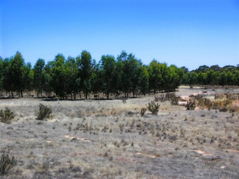 190 Borgas Road, Highbury WA 6313