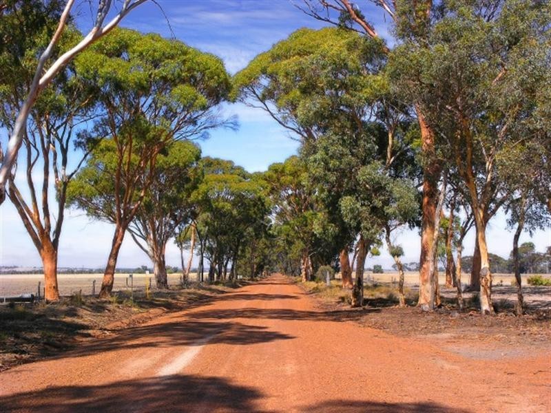 190 Borgas Road, Highbury WA 6313