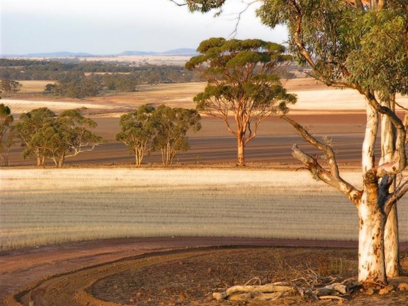 190 Borgas Road, Highbury WA 6313