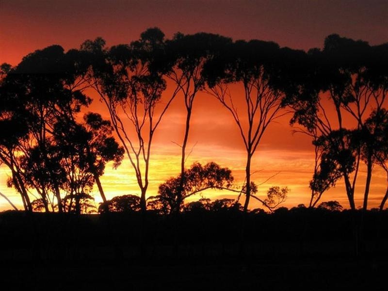 190 Borgas Road, Highbury WA 6313