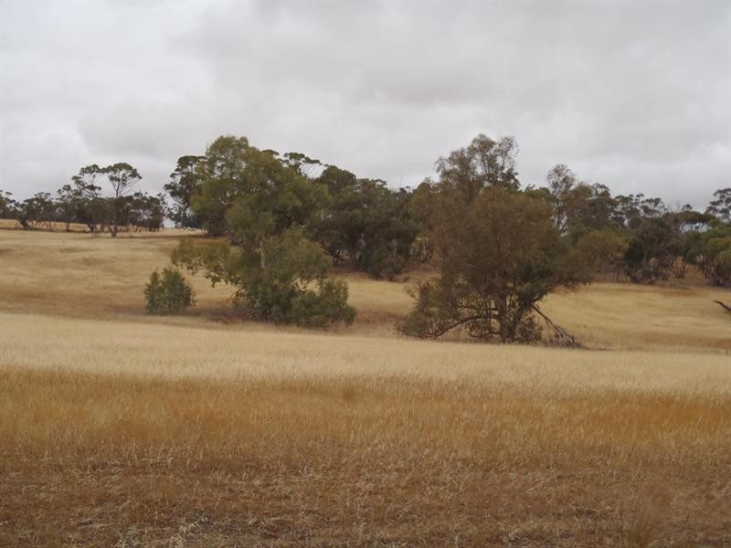 5 Moorumbine Road, East Pingelly WA 6308