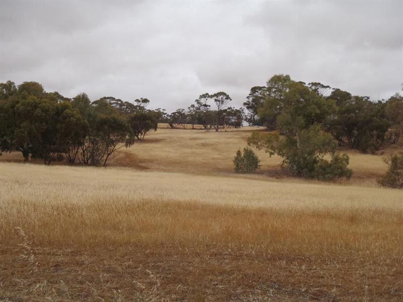 5 Moorumbine Road, East Pingelly WA 6308