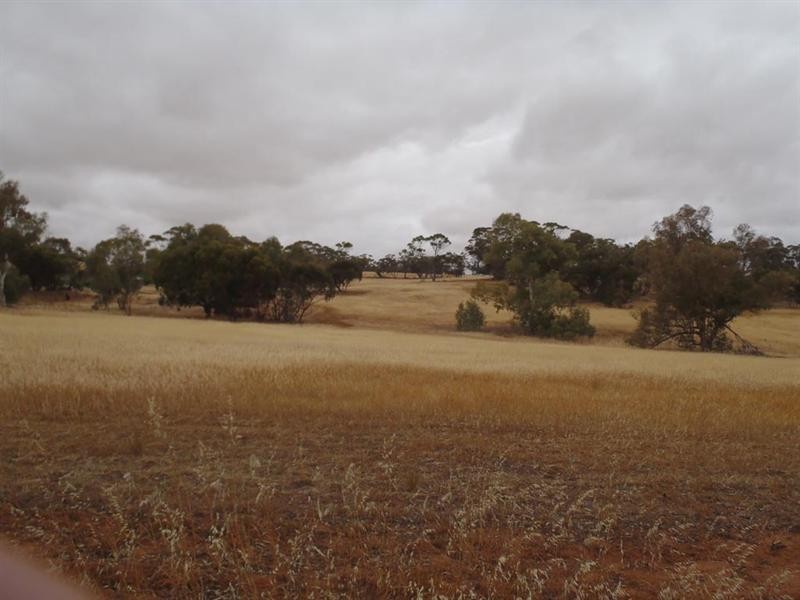 5 Moorumbine Road, East Pingelly WA 6308