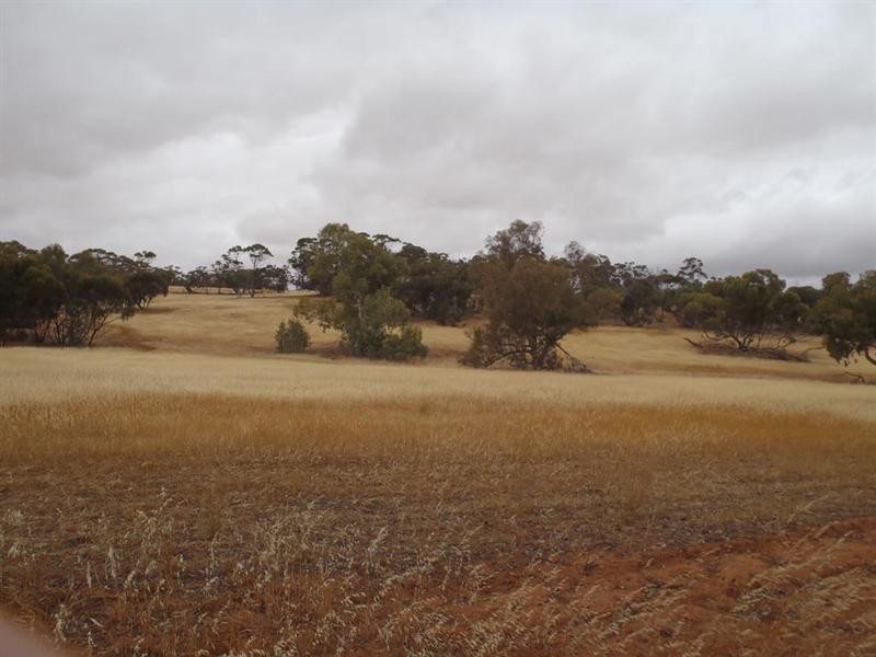 5 Moorumbine Road, East Pingelly WA 6308