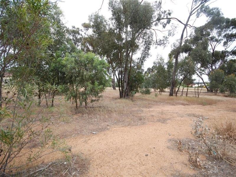 86 Felspar Street, Narrogin WA 6312