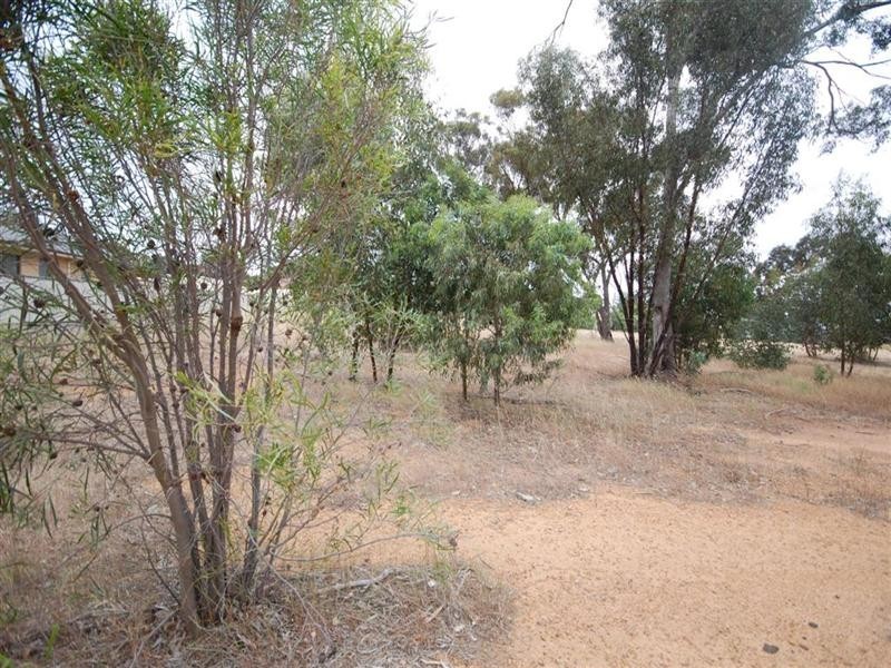 86 Felspar Street, Narrogin WA 6312