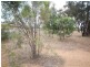 86 Felspar Street, Narrogin WA 6312