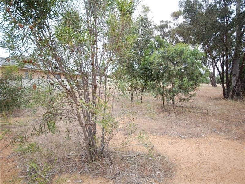 86 Felspar Street, Narrogin WA 6312