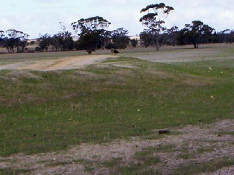 . Dwelyerdine Road, Wagin WA 6315