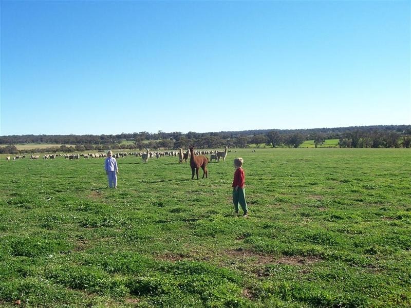 368 Cooraminning Road, Narrogin WA 6312