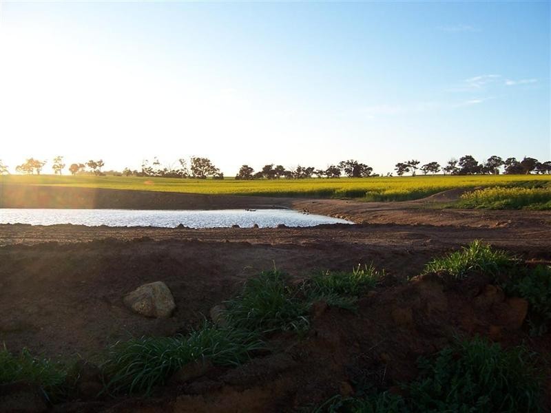 368 Cooraminning Road, Narrogin WA 6312