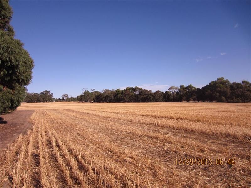 368 Cooraminning Road, Narrogin WA 6312