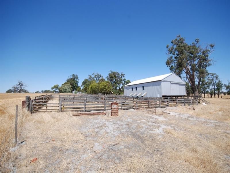 368 Cooraminning Road, Narrogin WA 6312