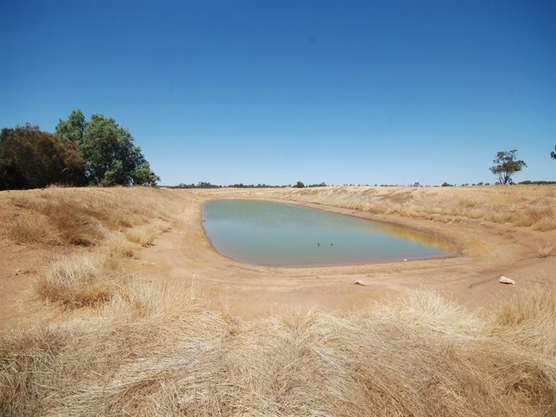 368 Cooraminning Road, Narrogin WA 6312