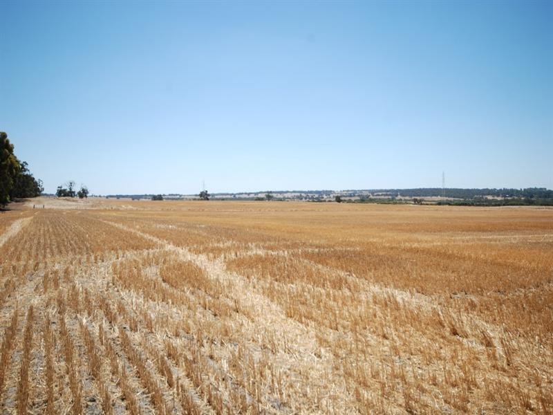 368 Cooraminning Road, Narrogin WA 6312