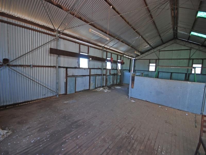 368 Cooraminning Road, Narrogin WA 6312