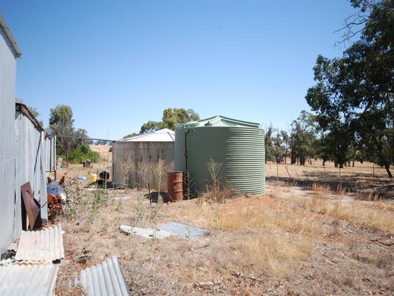 368 Cooraminning Road, Narrogin WA 6312