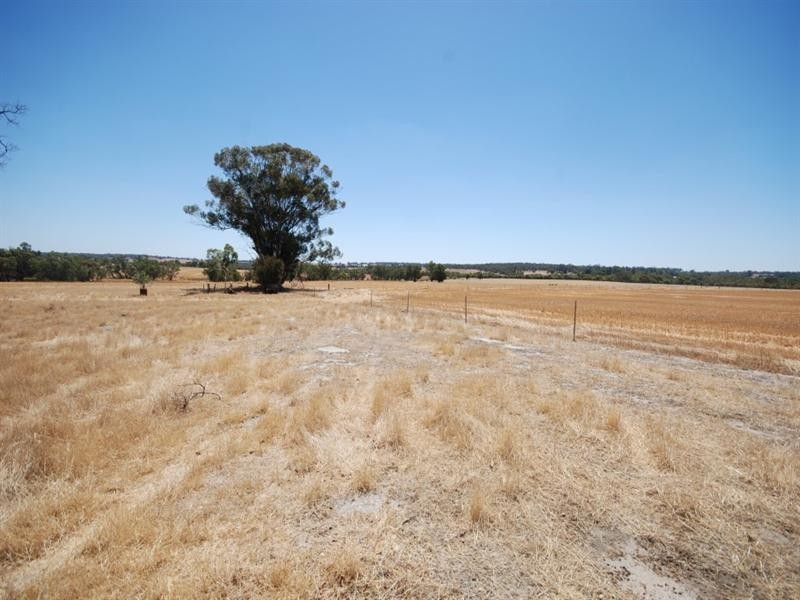 368 Cooraminning Road, Narrogin WA 6312