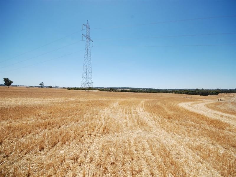 368 Cooraminning Road, Narrogin WA 6312