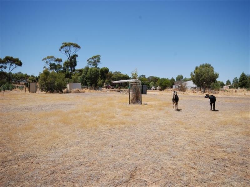 65 Russell Street, Cuballing WA 6311