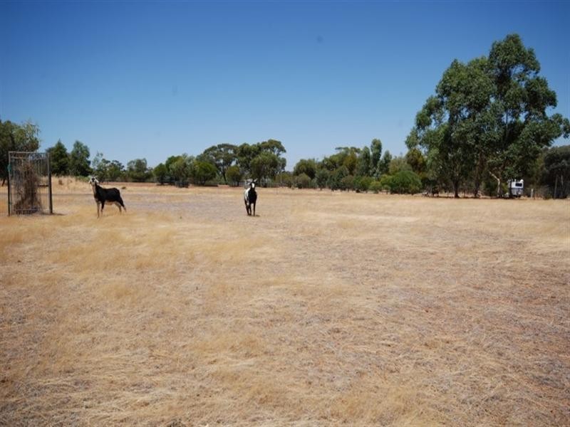 65 Russell Street, Cuballing WA 6311