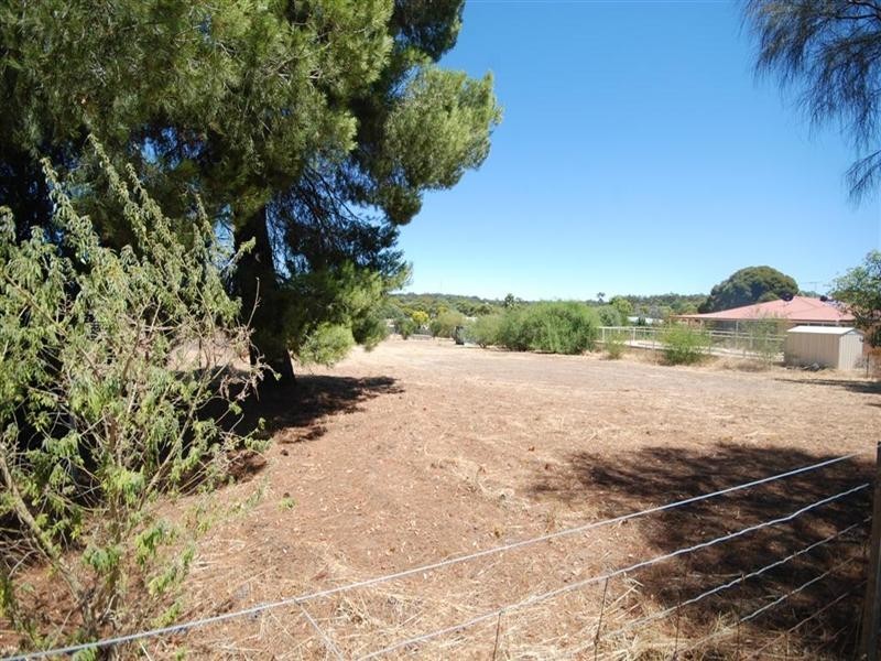 475 Quigley Street, Narrogin WA 6312