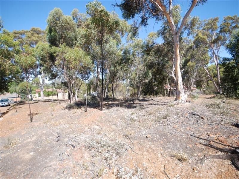 27 Lock Street, Narrogin WA 6312