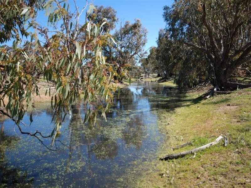 3884 Highbury East and Borgas Road, Highbury WA 6313