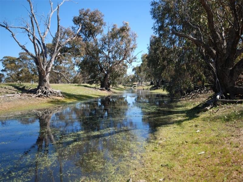 3884 Highbury East and Borgas Road, Highbury WA 6313