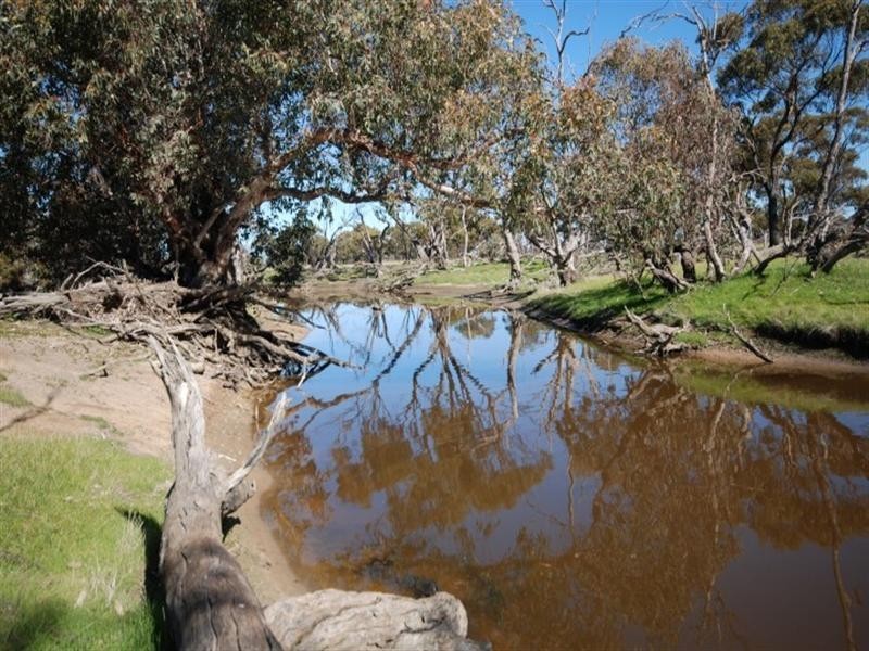 3884 Highbury East and Borgas Road, Highbury WA 6313