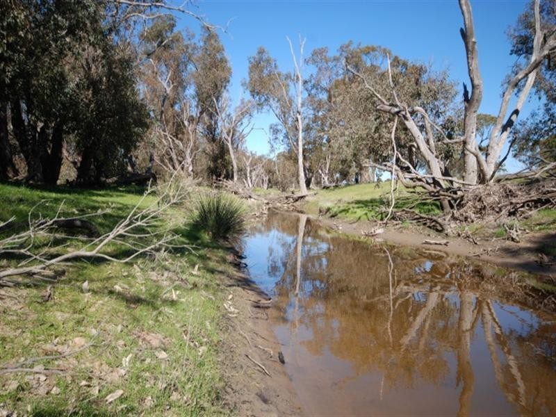 3884 Highbury East and Borgas Road, Highbury WA 6313