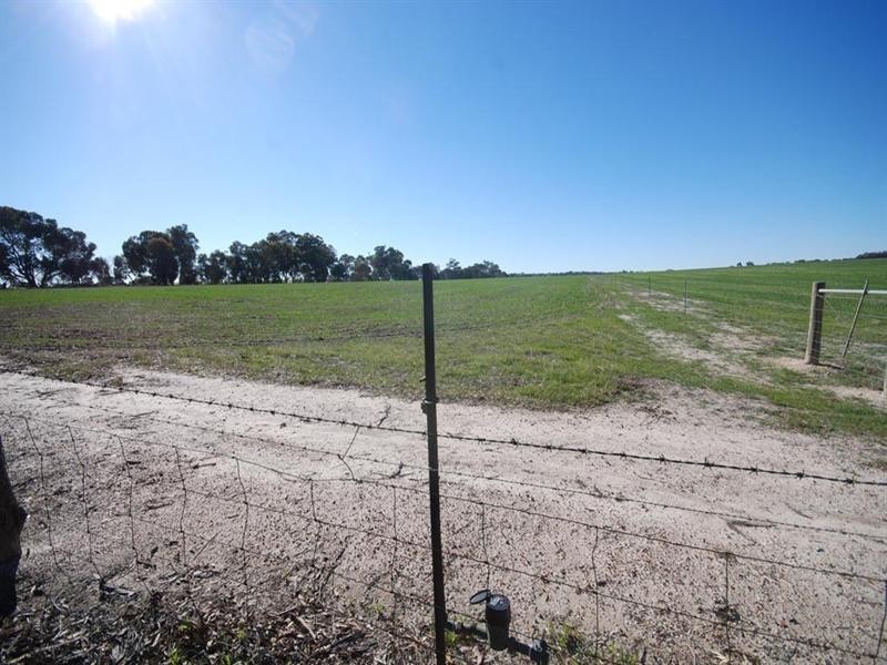 L85 Sprigg Road, Narrogin WA 6312