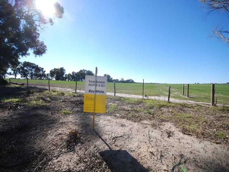 L85 Sprigg Road, Narrogin WA 6312