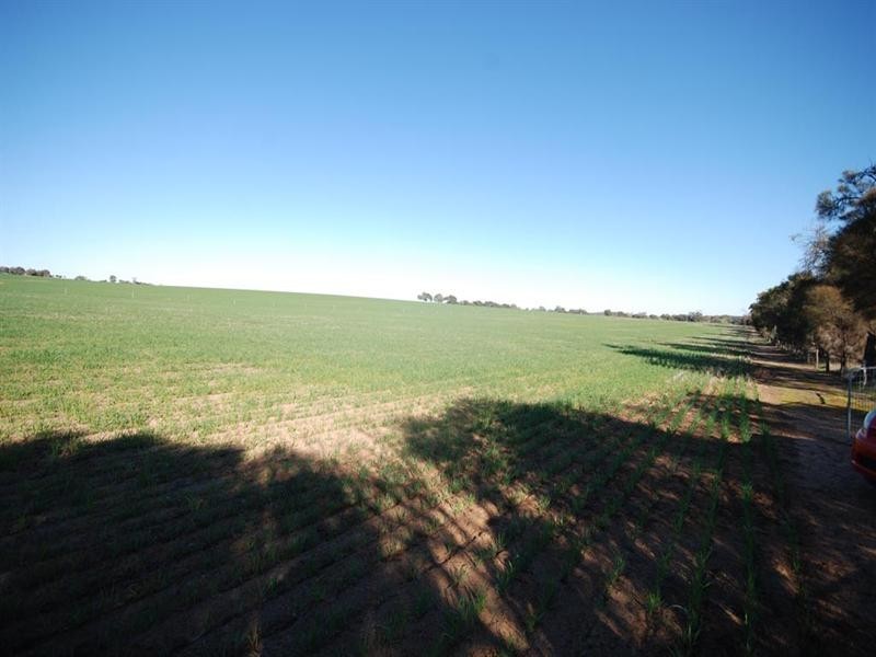 L85 Sprigg Road, Narrogin WA 6312