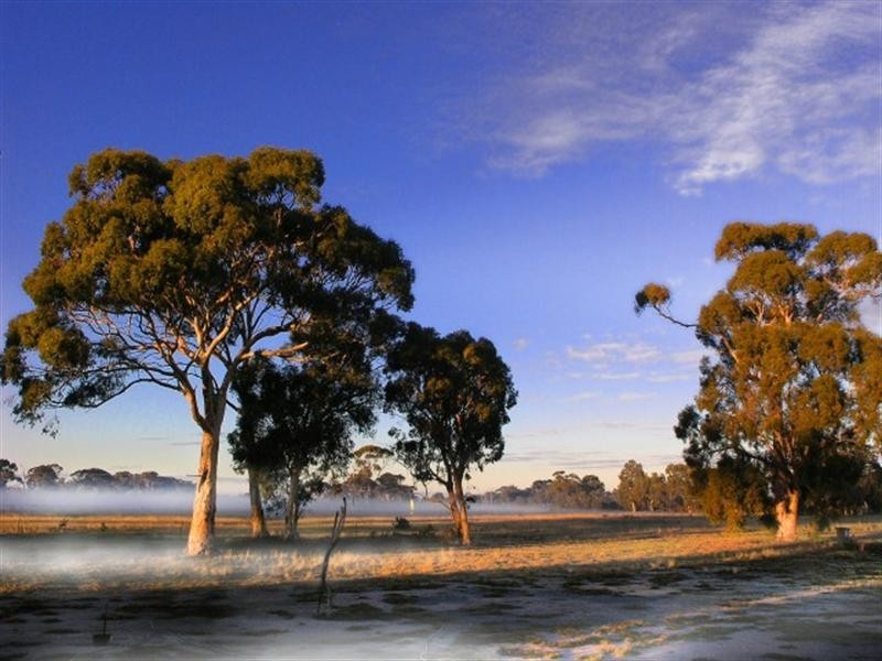 190 Borgas Road, Highbury WA 6313