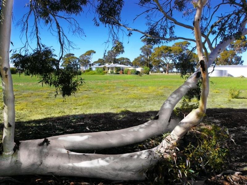 190 Borgas Road, Highbury WA 6313