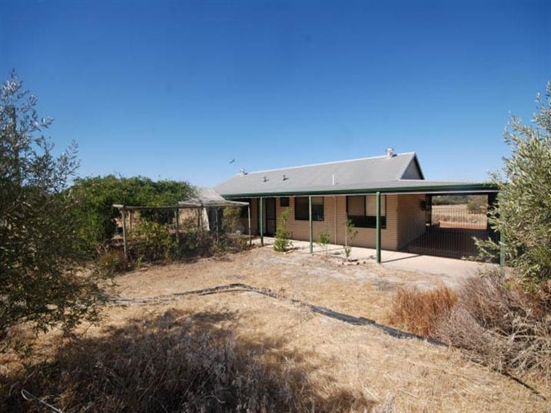 176 Contine Road, Narrogin WA 6312