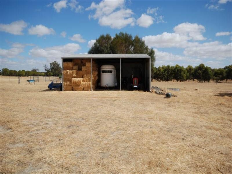 176 Contine Road, Narrogin WA 6312