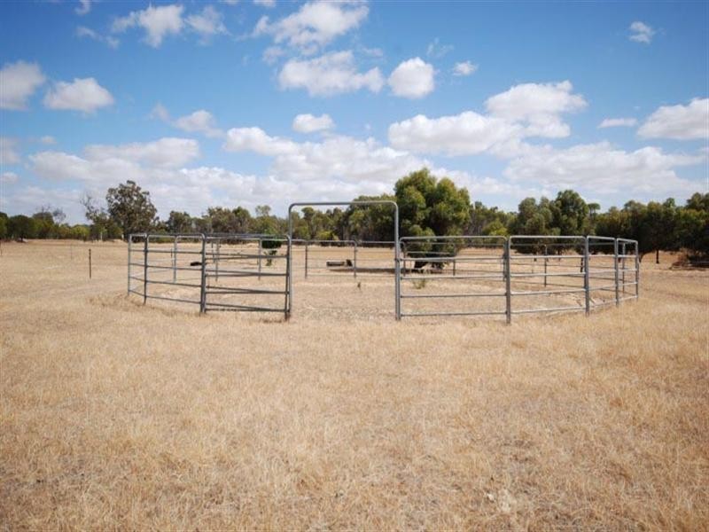 176 Contine Road, Narrogin WA 6312