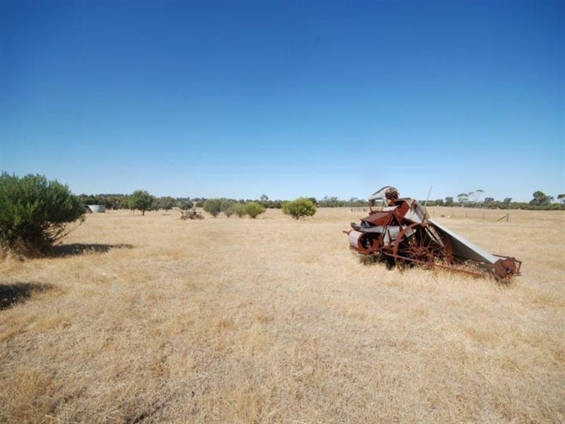 176 Contine Road, Narrogin WA 6312